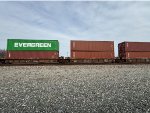 BNSF 239442